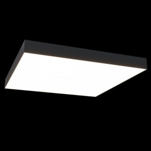 Потолочный светильник Zon C067CL-L96B4K фото 16249
